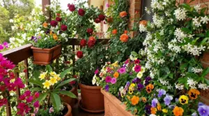 Balcone fiorito con rose, gelsomino e vasi colorati che creano un angolo profumato e rigoglioso