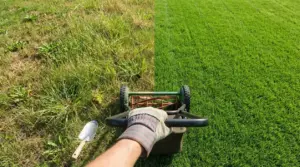 Persona che spinge un tagliaerba tra una parte di prato secco e una zona di erba verde e folta