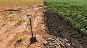 Campo con terreno secco e screpolato accanto a suolo scuro e fertile, con una pala conficcata a terra